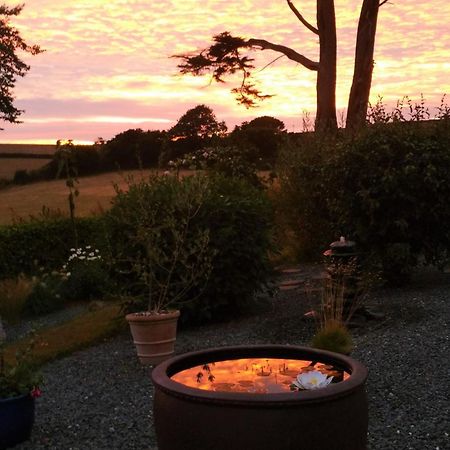 Horsna Parc Retreat Bed & Breakfast Saint Tudy Exterior foto