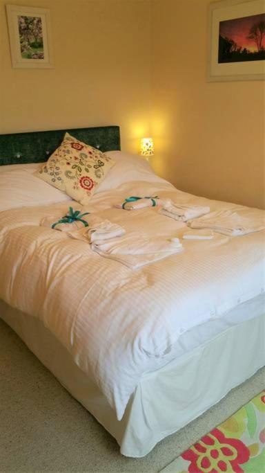 Horsna Parc Retreat Bed & Breakfast Saint Tudy Exterior foto