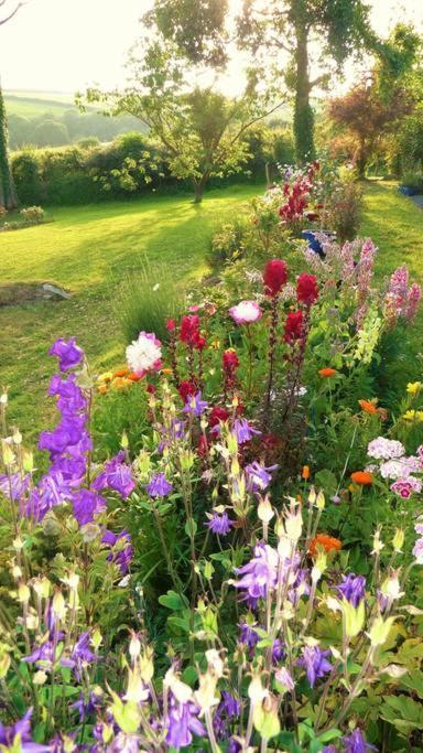 Horsna Parc Retreat Bed & Breakfast Saint Tudy Exterior foto